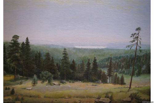Старая Купавна