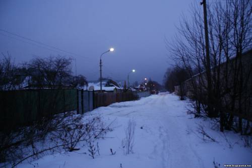 Старая Купавна