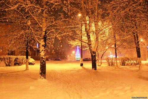 Старая Купавна