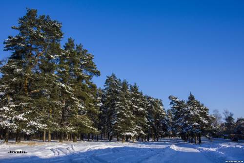 Старая Купавна