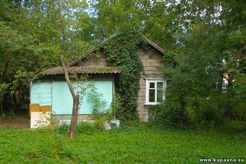Старая Купавна