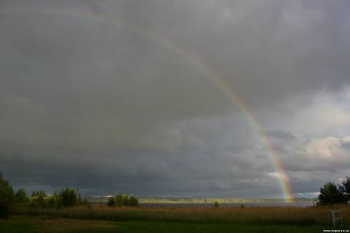 Старая Купавна