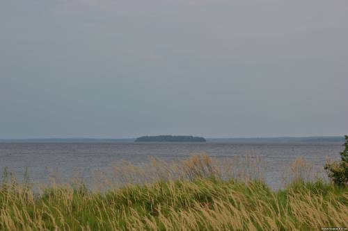 Старая Купавна