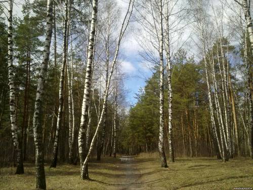 Старая Купавна