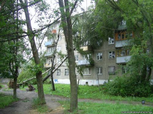 Старая Купавна