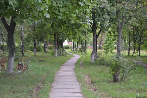 Старая Купавна