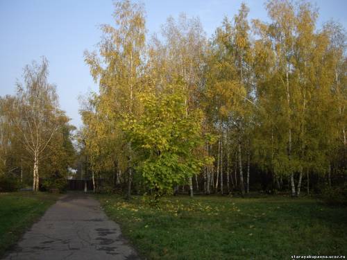 Старая Купавна