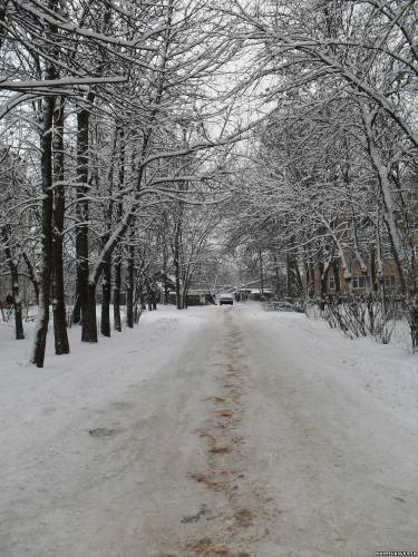 Старая Купавна