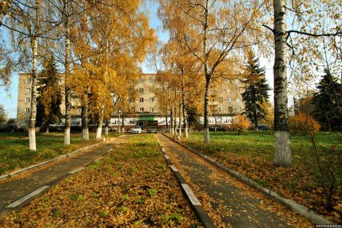 Старая Купавна