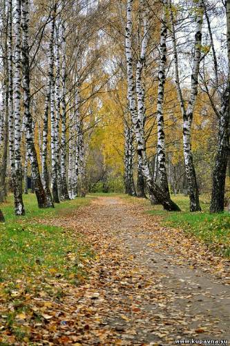Старая Купавна