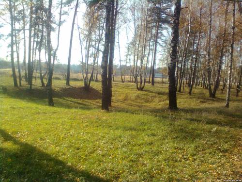 Старая Купавна