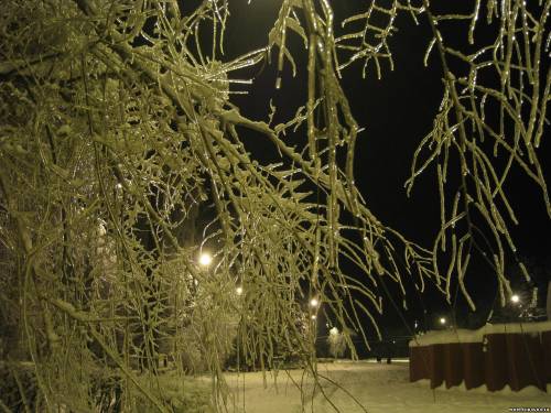 Старая Купавна