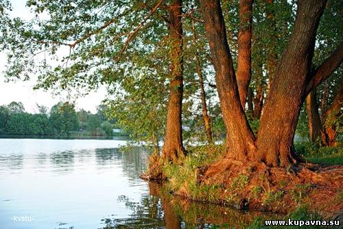 Старая Купавна