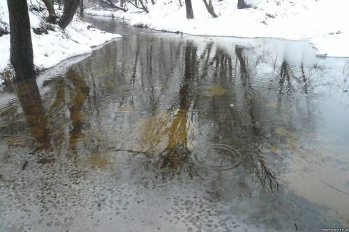 Старая Купавна