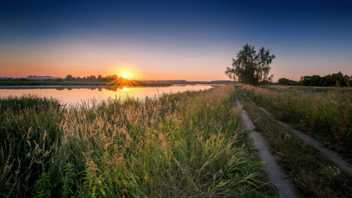 Старая Купавна