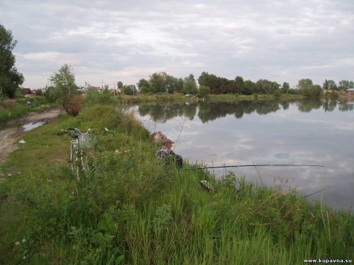 Старая Купавна