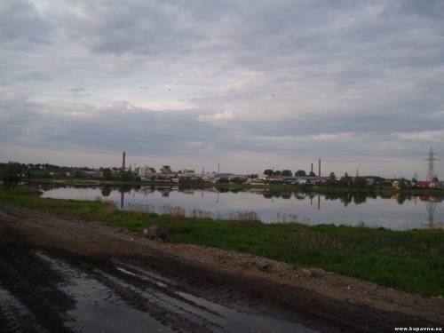 Старая Купавна