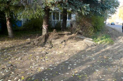 Старая Купавна