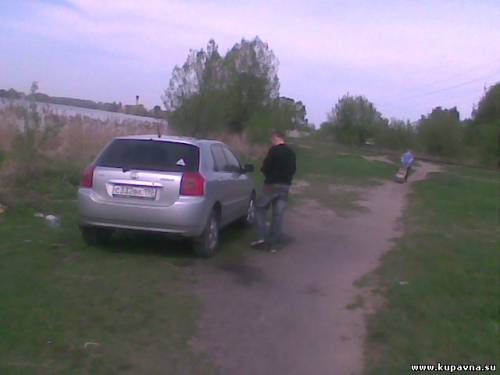 Старая Купавна