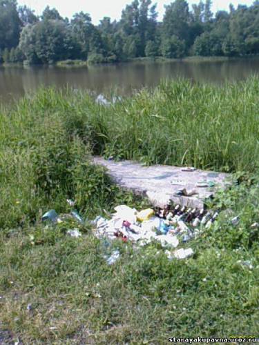 Старая Купавна