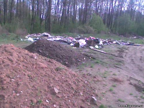 Старая Купавна