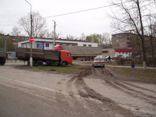 Старая Купавна