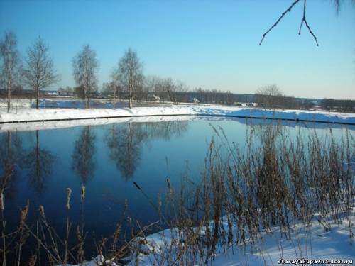 Старая Купавна