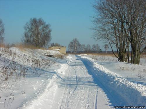 Старая Купавна