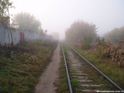 Старая Купавна