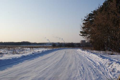 Старая Купавна