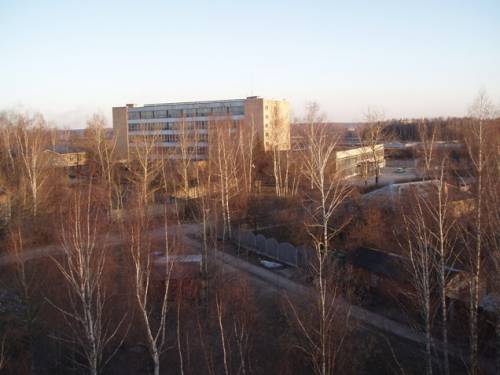 Старая Купавна