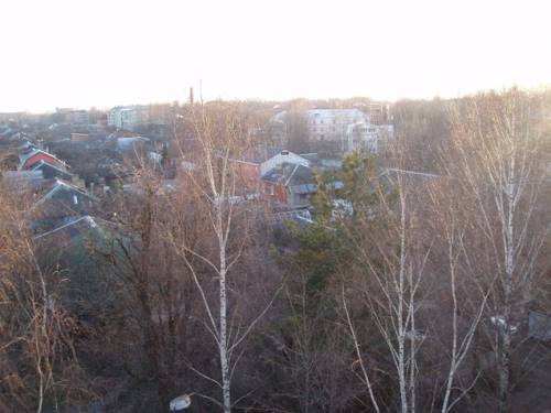 Старая Купавна