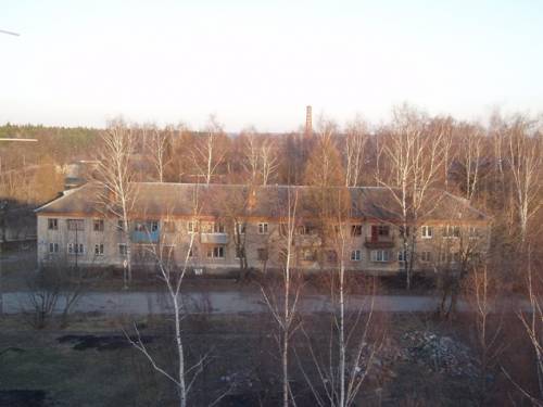 Старая Купавна