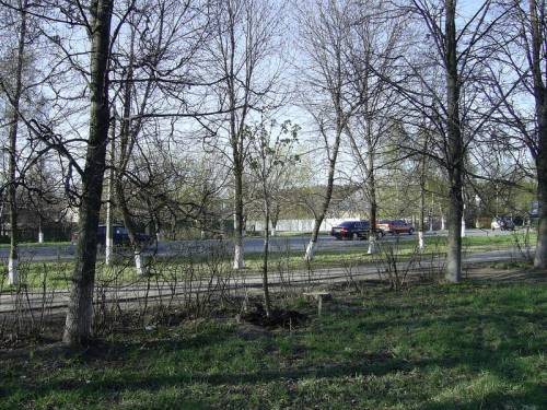 Старая Купавна