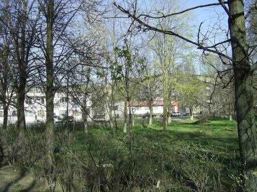 Старая Купавна