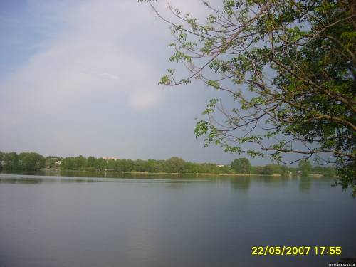 Старая Купавна