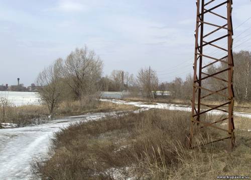 Старая Купавна