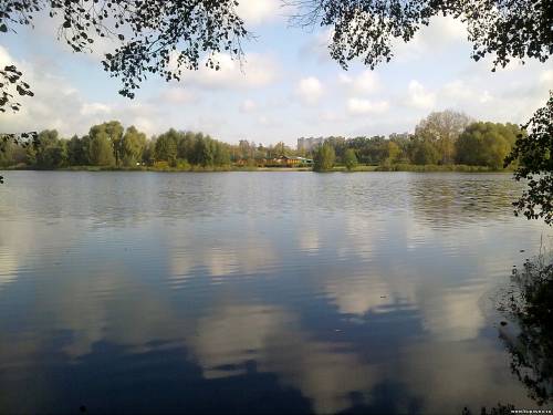 Старая Купавна