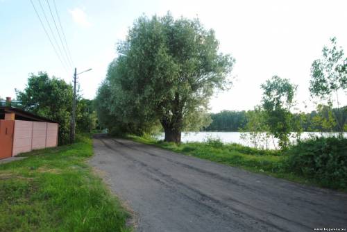 Старая Купавна