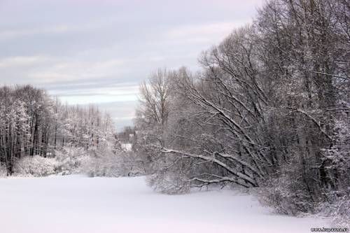 Старая Купавна
