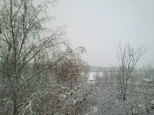 Старая Купавна