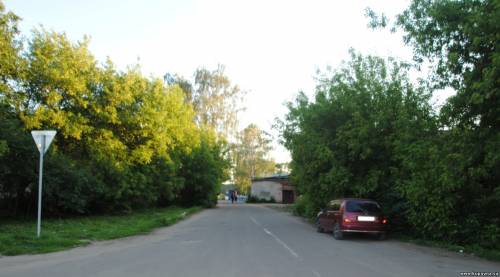 Старая Купавна