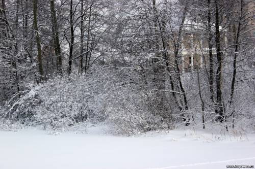 Старая Купавна