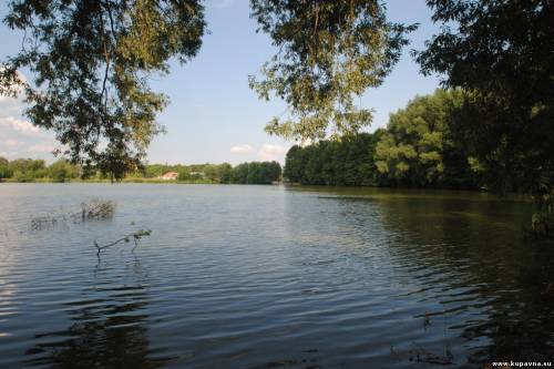 Старая Купавна