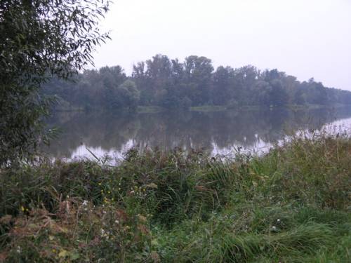 Старая Купавна