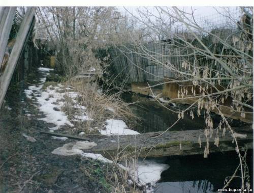 Старая Купавна
