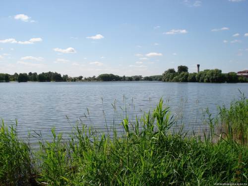 Старая Купавна