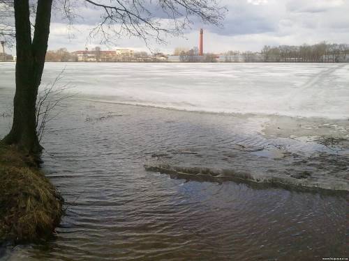 Старая Купавна