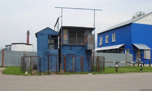 Старая Купавна