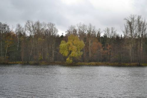 Старая Купавна
